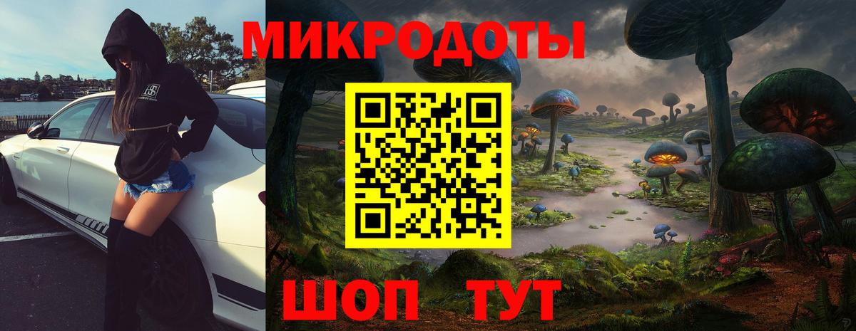 Томск  Псилоцибиновые грибы MAGIC MUSHROOMS  Вход с VPN  Псилоцибиновые грибы GOLDEN TEACHER 