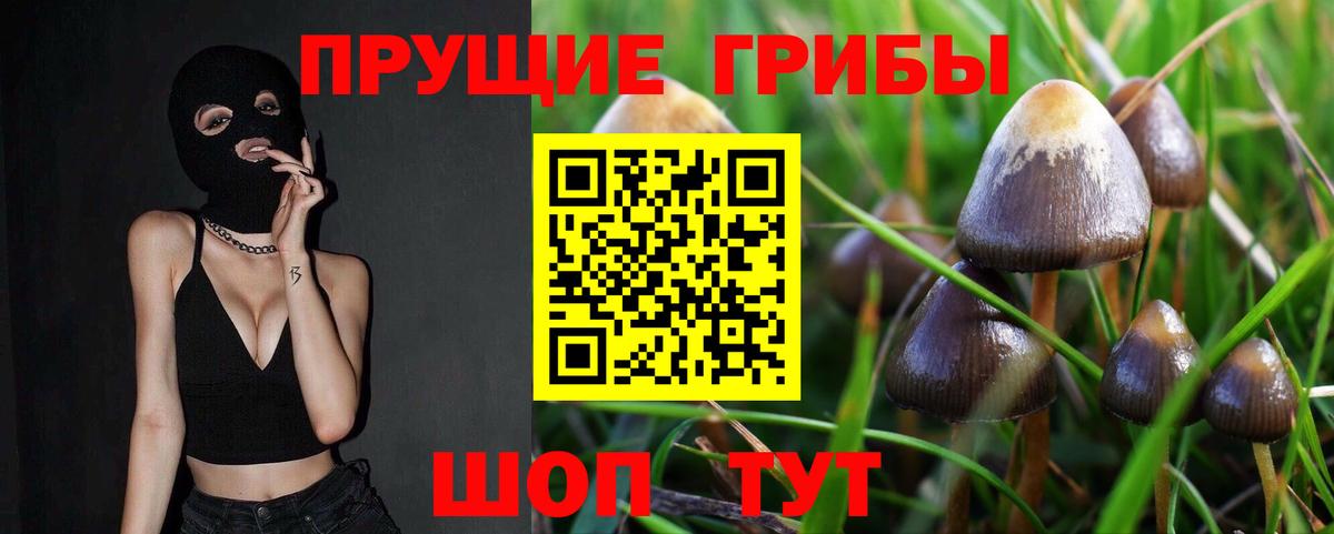 Галлюциногенные грибы GOLDEN TEACHER Томск